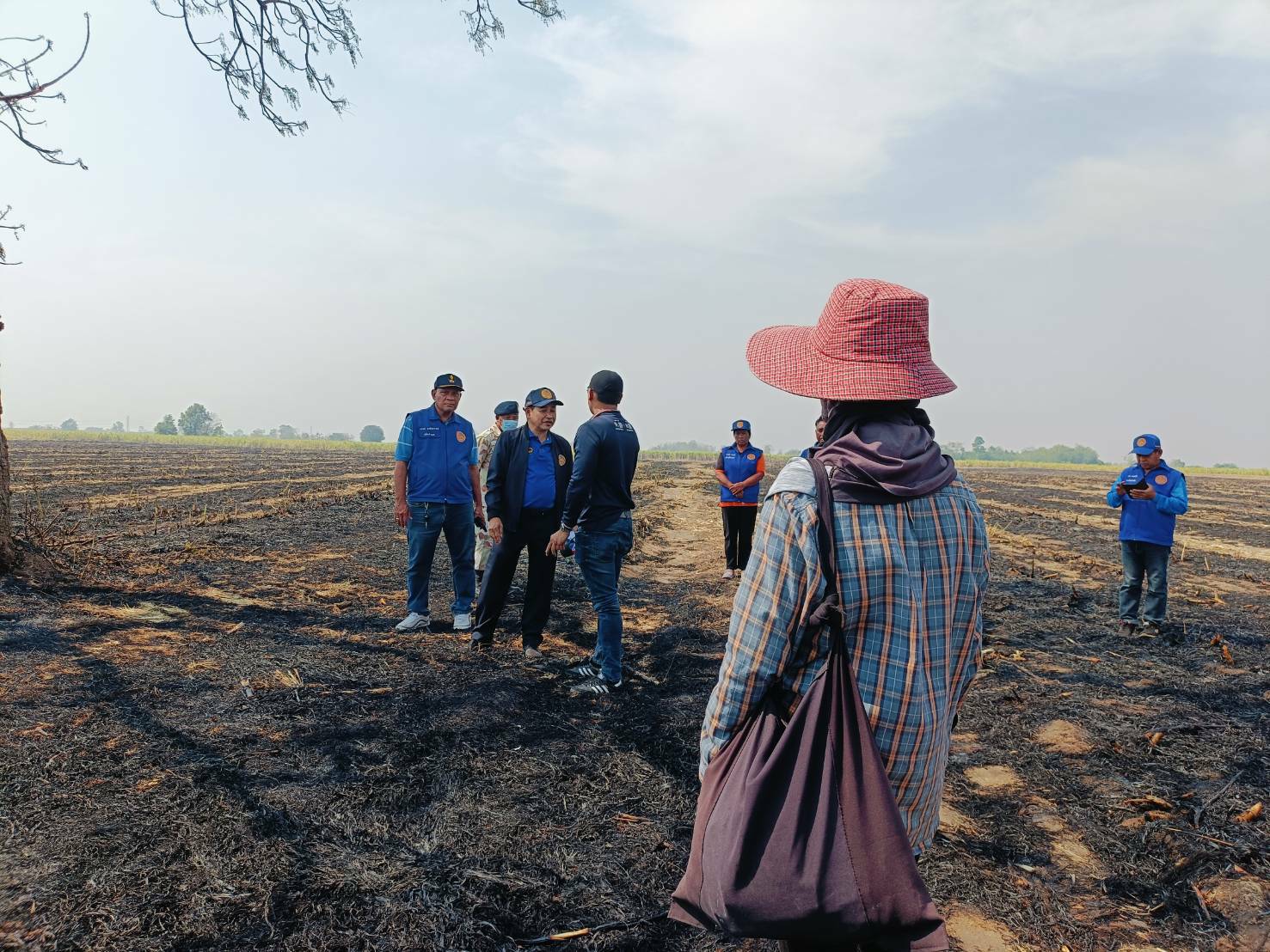 ส่งพิสูจน์หลักฐาน ลงไร่อ้อย อ.โคกเจริญ จ.ลพบุรี หลังเจ้าของแปลงบอก ‘ฉันไม่ได้เผา’ 5 S 111566880