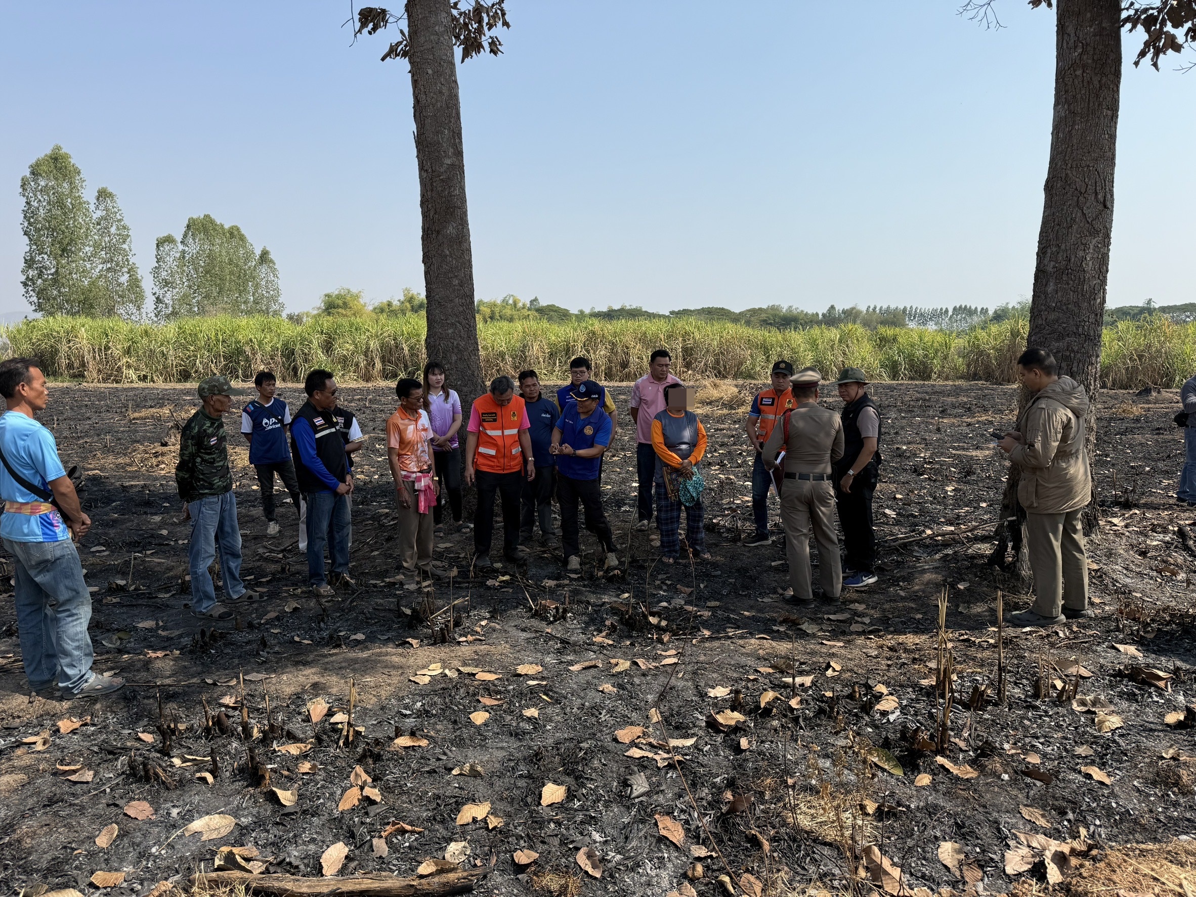 ผู้ว่าฯหนองบัวลำภู สั่งการยกระดับควบคุมการเผาลดฝุ่น PM 2.5 แจ้งตำรวจบังคับใช้กฎหมายเด็ดขาด และให้เกษตรจังหวัดตัดสิทธิ์ช่วยเหลือเกษตรกรเผาในพื้นที่การเกษตร 3 S 144932879 งงงงววว