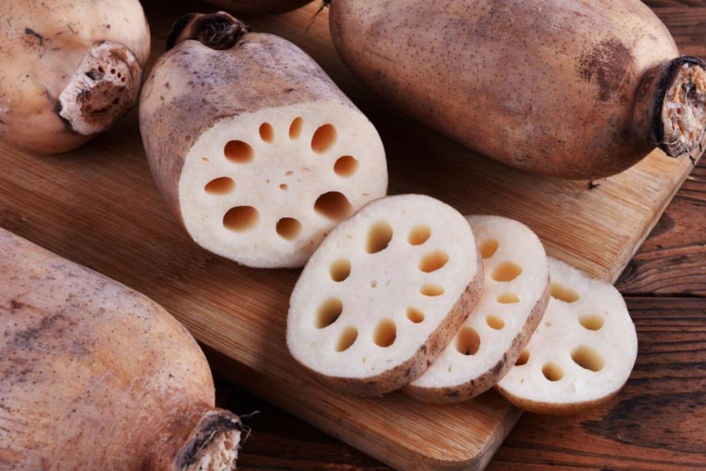 Shopee blog ประโยชน์ของรากบัว lotus roots 1024x683 1