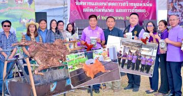 กรมปศุสัตว์จัดงานมหกรรมแพะแห่งชาติ3