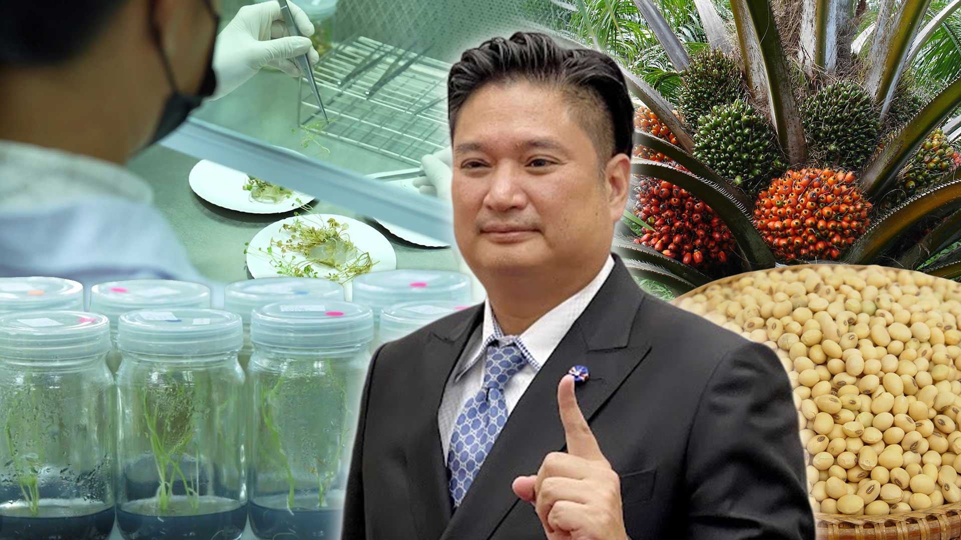 กรมวิชาการเกษตร ใส่เกียร์เดินหน้าพัฒนาพันธุ์พืชด้วยเทคโนโลยีจีโนมเตรียมพร้อมเป็น Seed hub ยกระดับรายได้เกษตรกรไทย 1 กรมวิชาการเกษตร ใส่เกียร์เดินหน้า3