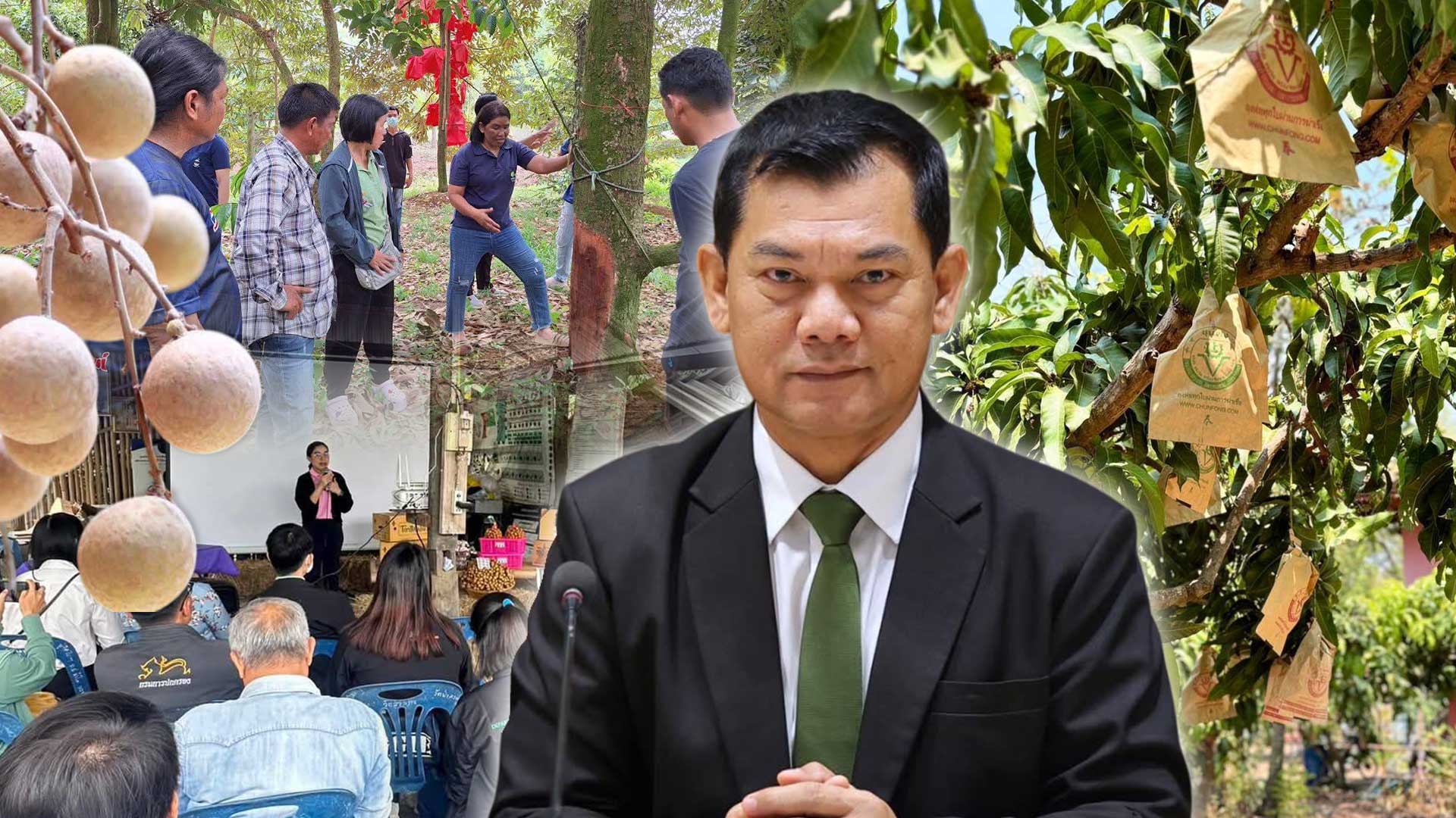 กรมส่งเสริมการเกษตร3 1