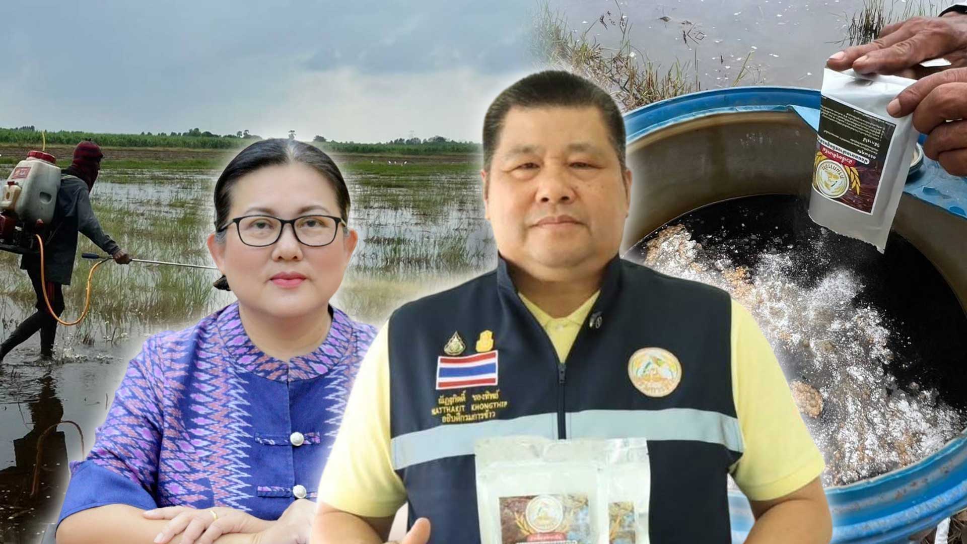 จุลินทรีย์ย่อยสลายตอซัง 3
