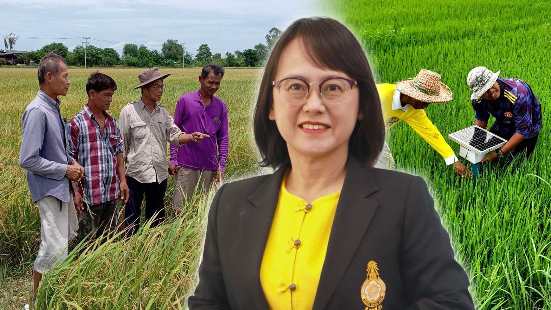 ‘ศกอ.สุพรรณบุรี’ ทำนาข้าวลดโลกร้อน ขายคาร์บอนเครดิต สร้างรายได้ 1 ทำนาลดโลกร้อน3