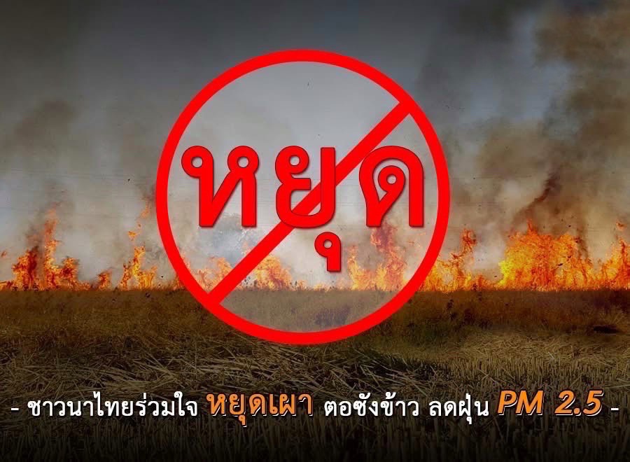 ภาพกข6