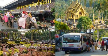 สวนนงนุชพัทยา2 1
