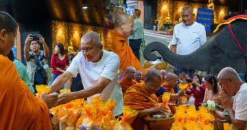 สวนนงนุชพัทยาจัดใหญ่2