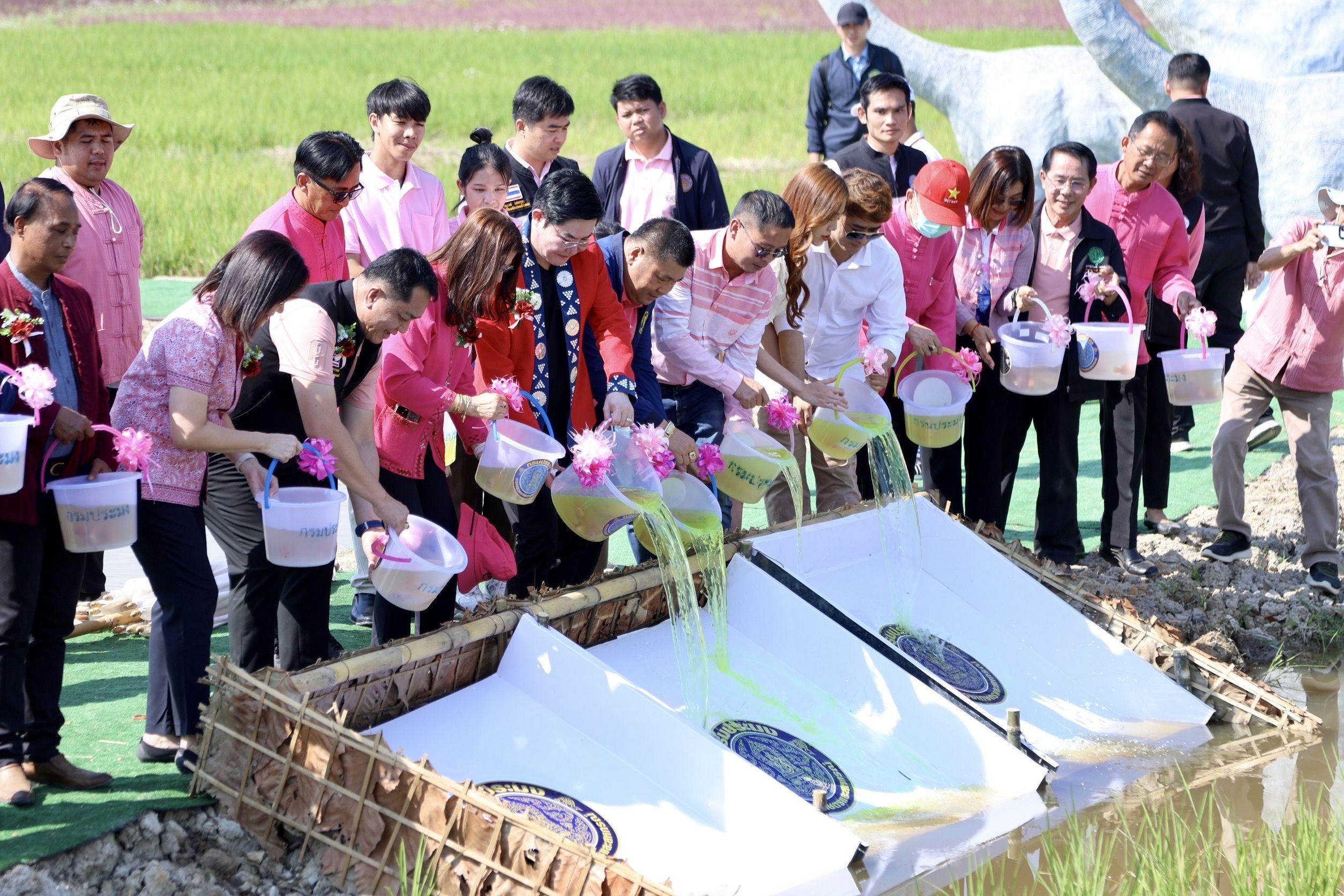 รมช.เกษตรฯเปิดงานรณรงค์การถ่ายทอดเทคโนโลยี เพิ่มศักยภาพการผลิตข้าวสู่สินค้าเกษตรมูลค่าสูง พร้อมเปิดจุดเช็คอินใหม่ 'แปลงข้าวหลากสี' แหล่งท่องเที่ยวเชิงเกษตรอีกแห่งหนึ่งของจังหวัดพะเยา 13 1141756