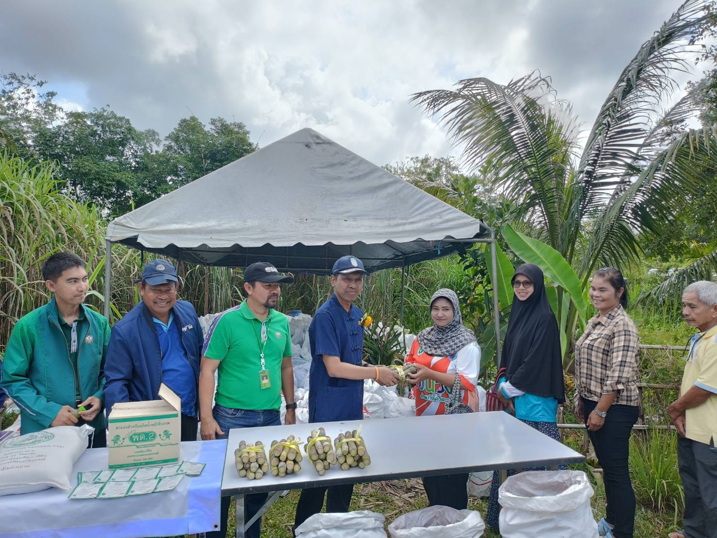 เกษตรกรยะลาปลูกอ้อย คั้นน้ำขายช่วงรอมฎอน 3 481995313 1039406784897998 2592795145908224236 n