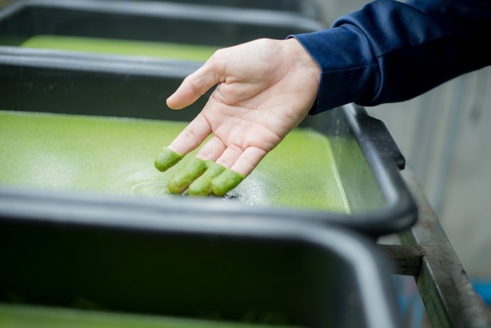 “จันทร์เรืองฟาร์ม (JR Farm)” ศูนย์บ่มเพาะเกษตรกรรุ่นใหม่ อ.ขลุง จ.จันทบุรีแหล่งบ่มเพาะเตรียมความพร้อมในการเป็นผู้ประกอบการเกษตรในอนาคต 4 S 399933456