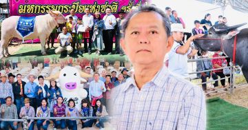 กรมปศุสัตว์จัดยิ่งใหญ่3