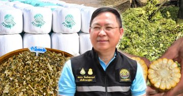 กรมปศุสัตว์แนะนำ3