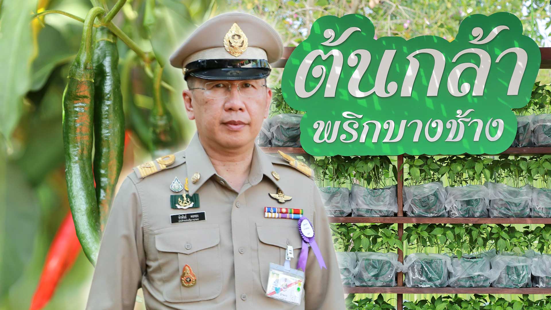 กรมส่งเสริมการเกษตร3