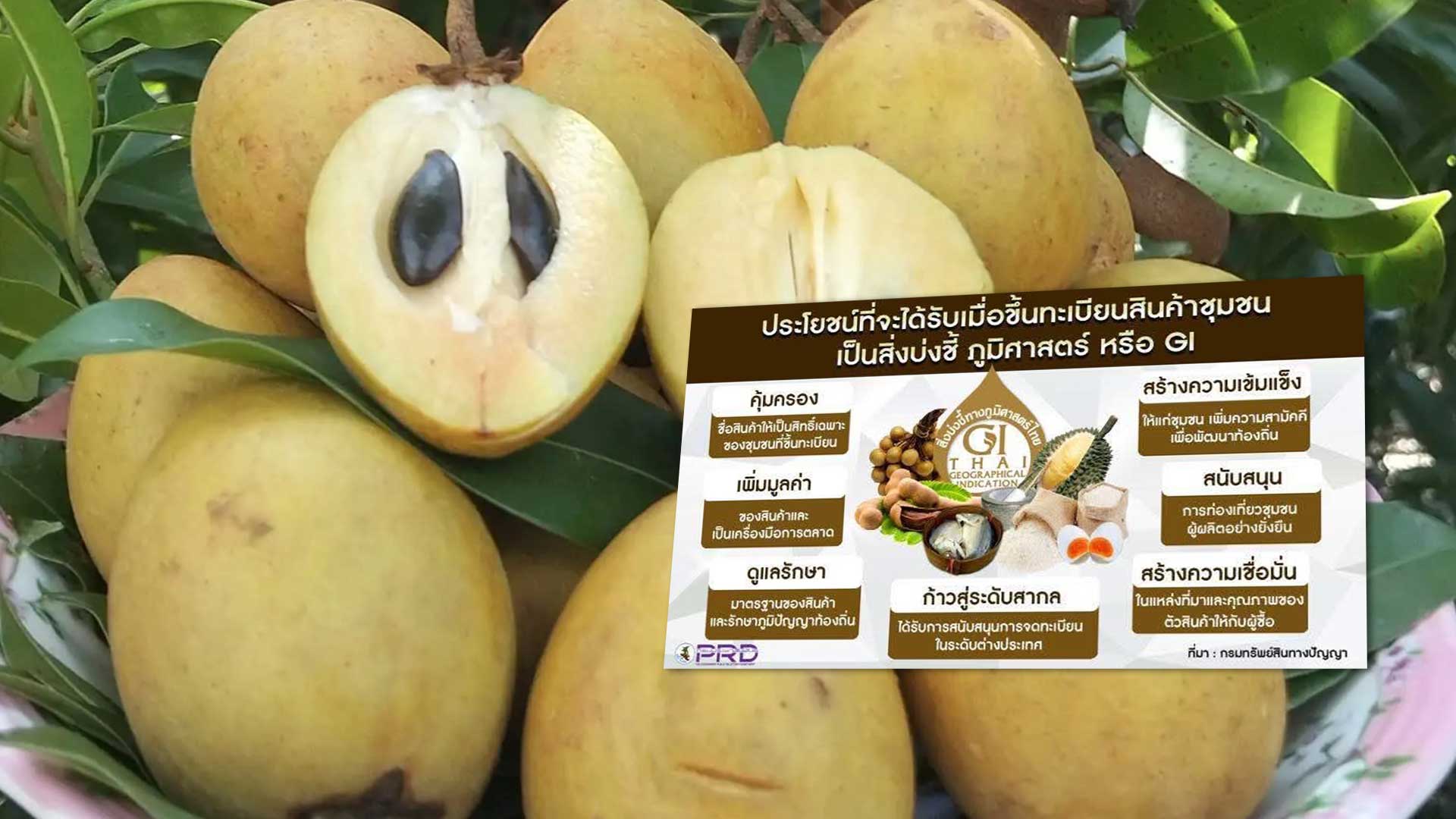 พาณิชย์จังหวัดสุโขทัย3