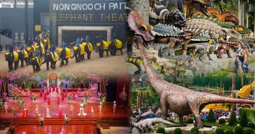 สวนนงนุชพัทยา2 1
