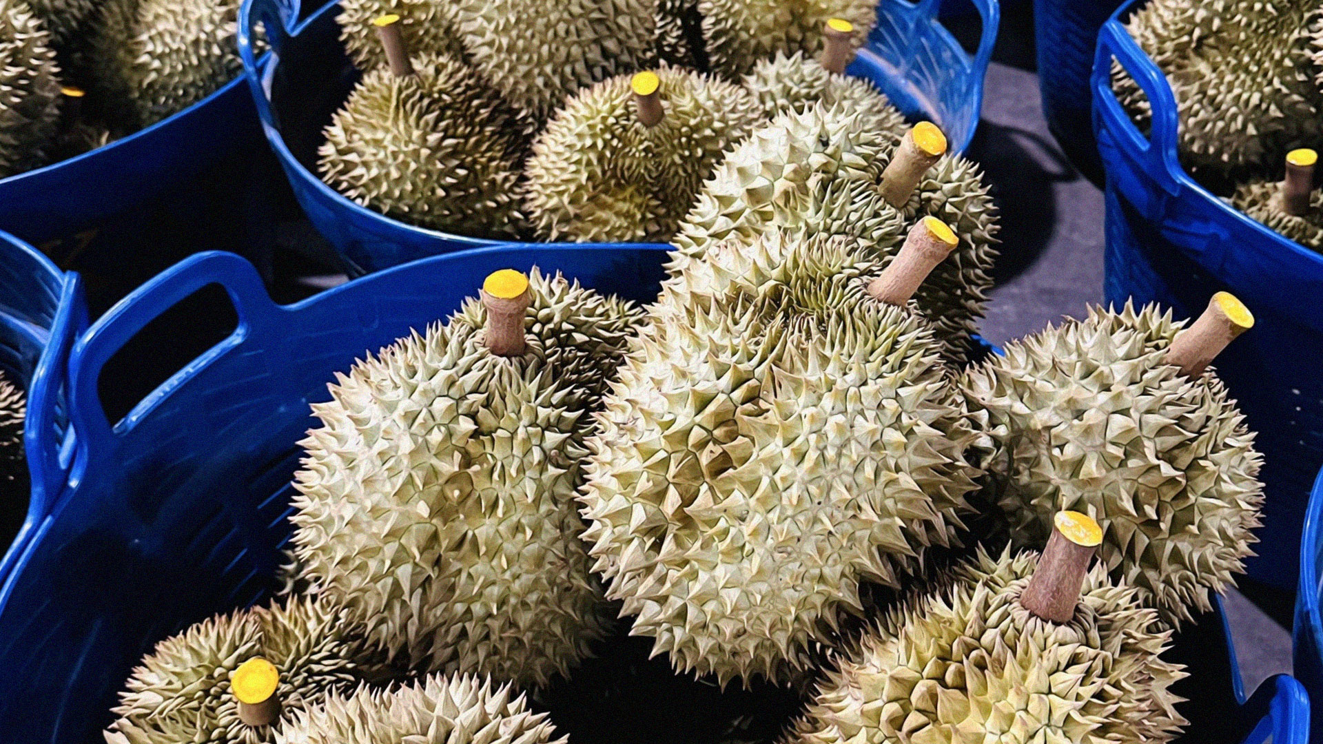 แจ้ง2 แก้