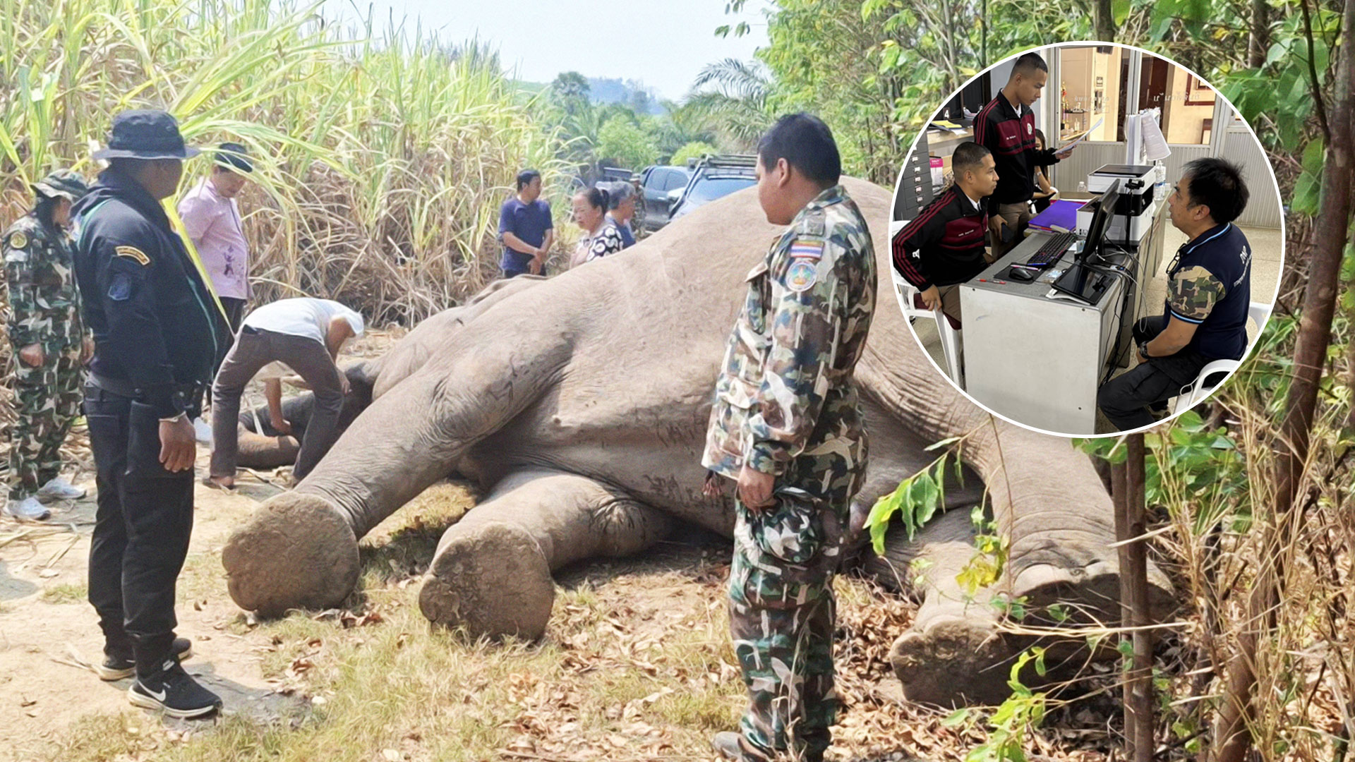 แจ้งจับเจ้าของที่ไร่อ้อย2