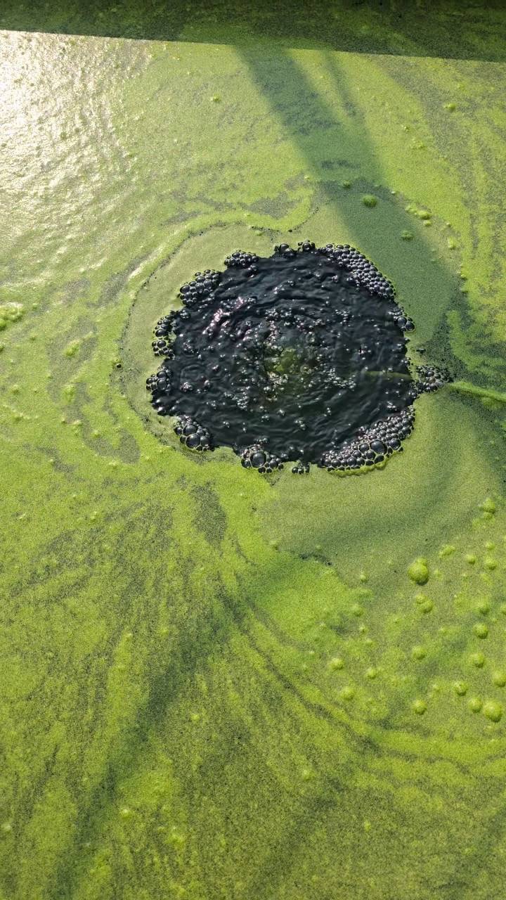 S 11837490