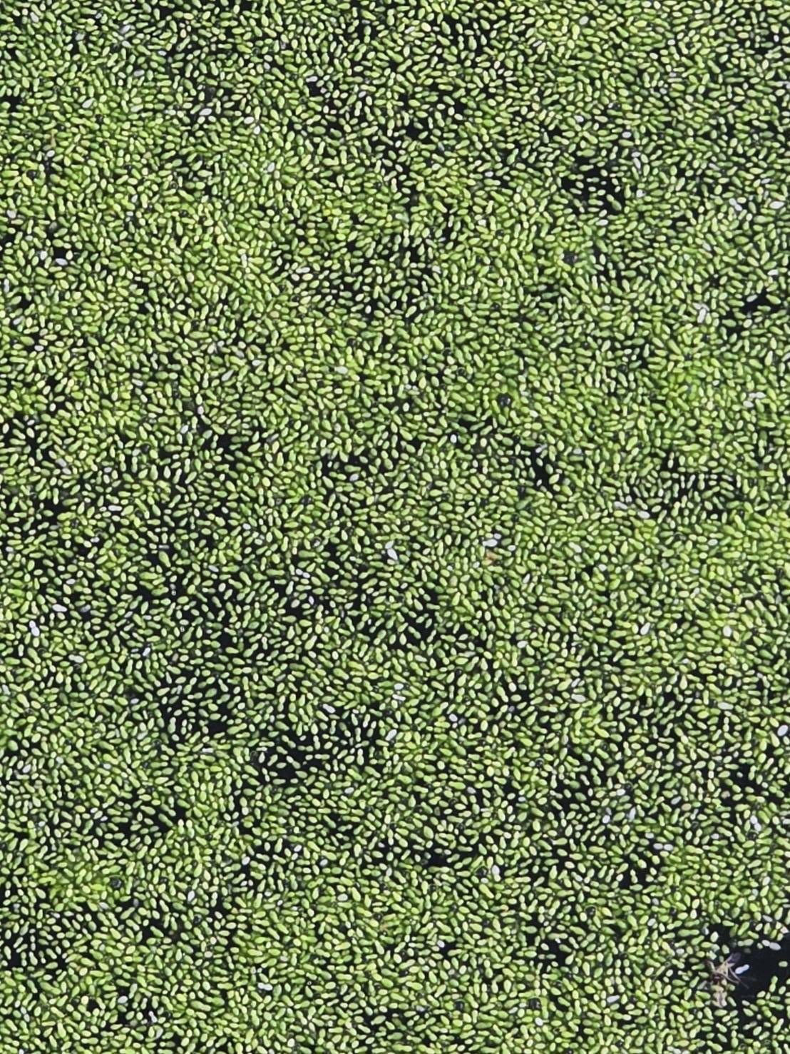 S 11837493