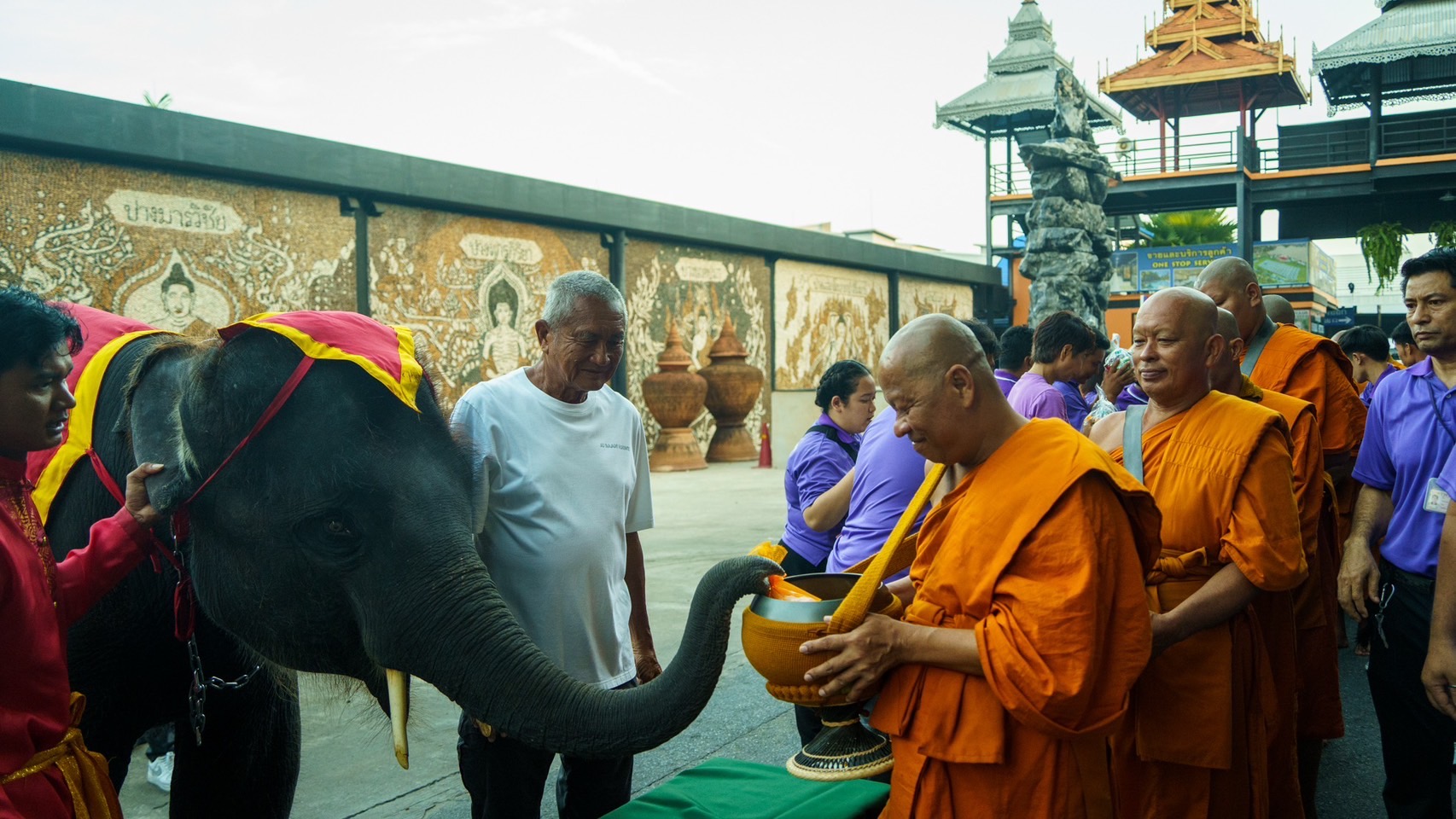 สวนนงนุชพัทยา จัดงานใหญ่วันช้างไทย 13 มีนาคมของทุกปีพร้อมเลี้ยงบุฟเฟต์ขันโตกผลไม้ยักษ์สูงกว่า 3 เมตร 5 S 3450253