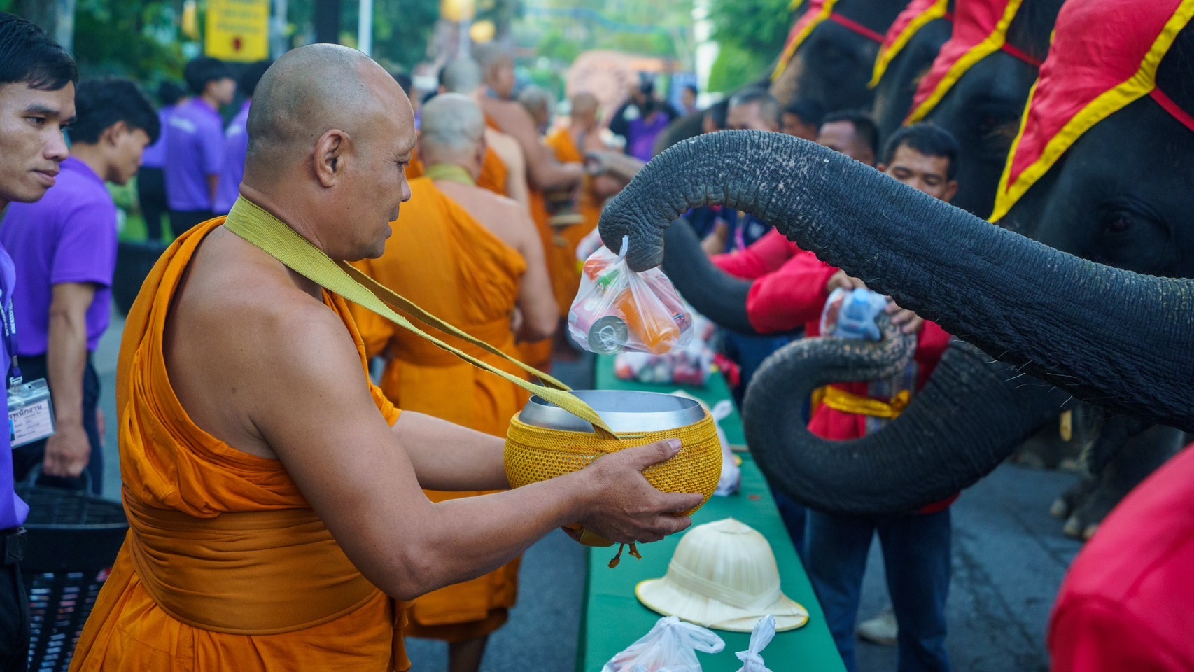 สวนนงนุชพัทยา จัดงานใหญ่วันช้างไทย 13 มีนาคมของทุกปีพร้อมเลี้ยงบุฟเฟต์ขันโตกผลไม้ยักษ์สูงกว่า 3 เมตร 6 S 3450254