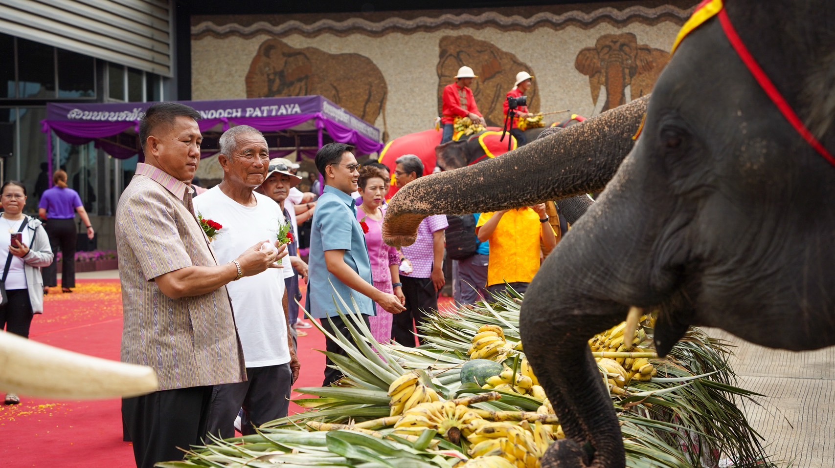 สวนนงนุชพัทยา จัดงานใหญ่วันช้างไทย 13 มีนาคมของทุกปีพร้อมเลี้ยงบุฟเฟต์ขันโตกผลไม้ยักษ์สูงกว่า 3 เมตร 8 S 3450256