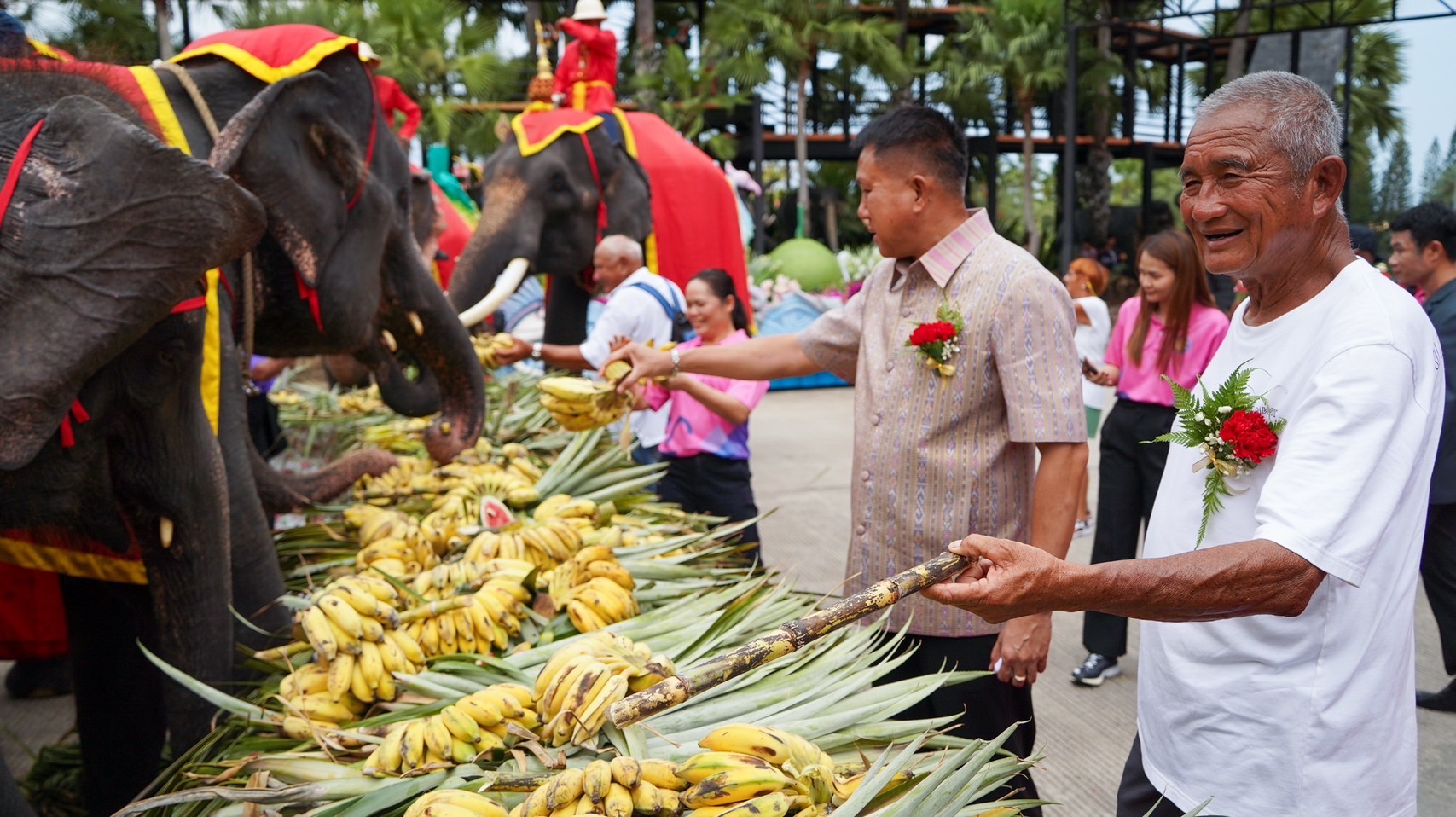 สวนนงนุชพัทยา จัดงานใหญ่วันช้างไทย 13 มีนาคมของทุกปีพร้อมเลี้ยงบุฟเฟต์ขันโตกผลไม้ยักษ์สูงกว่า 3 เมตร 10 S 3450258