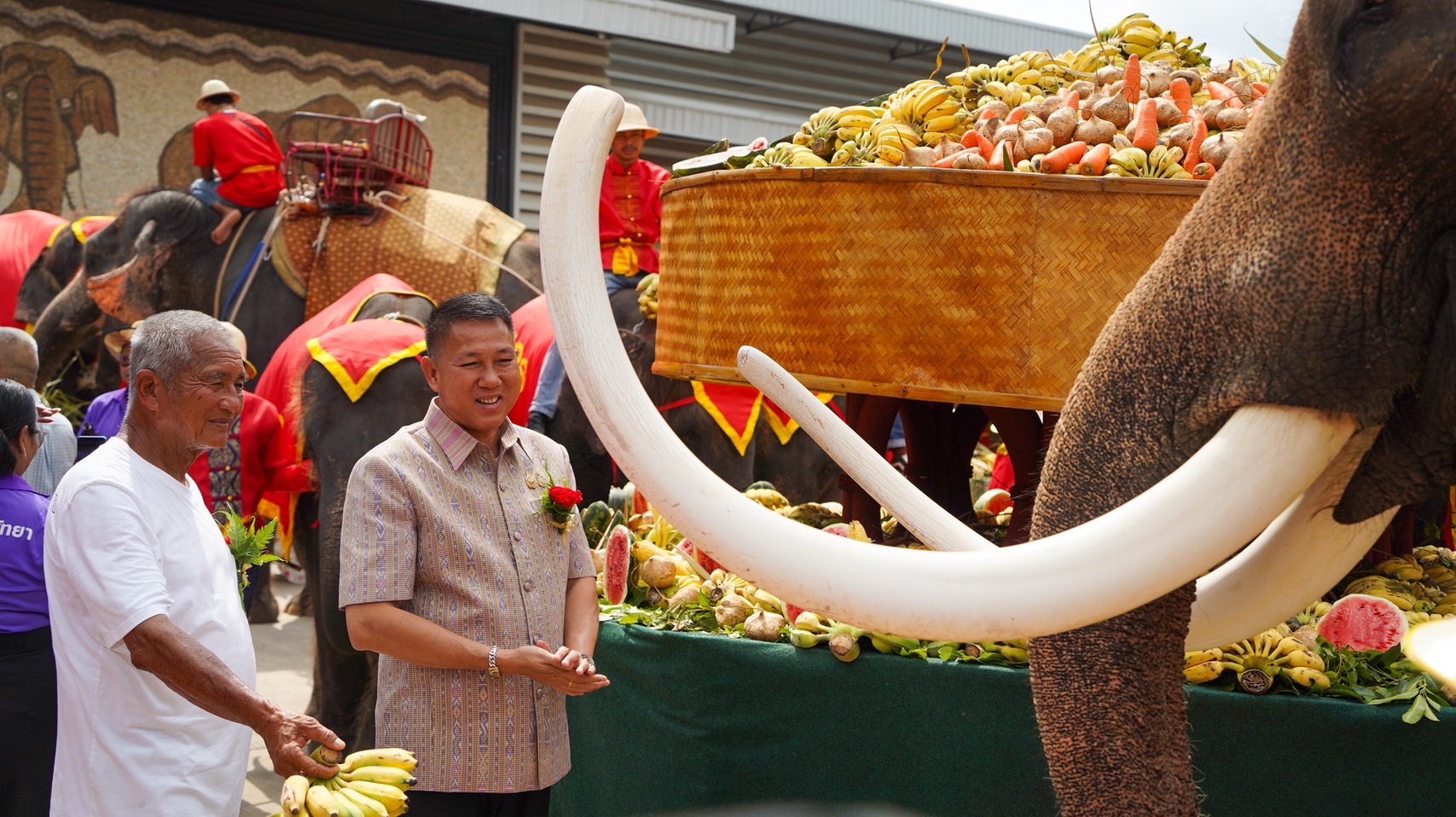สวนนงนุชพัทยา จัดงานใหญ่วันช้างไทย 13 มีนาคมของทุกปีพร้อมเลี้ยงบุฟเฟต์ขันโตกผลไม้ยักษ์สูงกว่า 3 เมตร 11 S 3450259