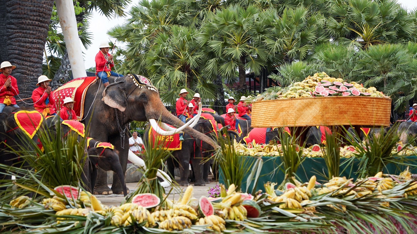 สวนนงนุชพัทยา จัดงานใหญ่วันช้างไทย 13 มีนาคมของทุกปีพร้อมเลี้ยงบุฟเฟต์ขันโตกผลไม้ยักษ์สูงกว่า 3 เมตร 13 S 3450262