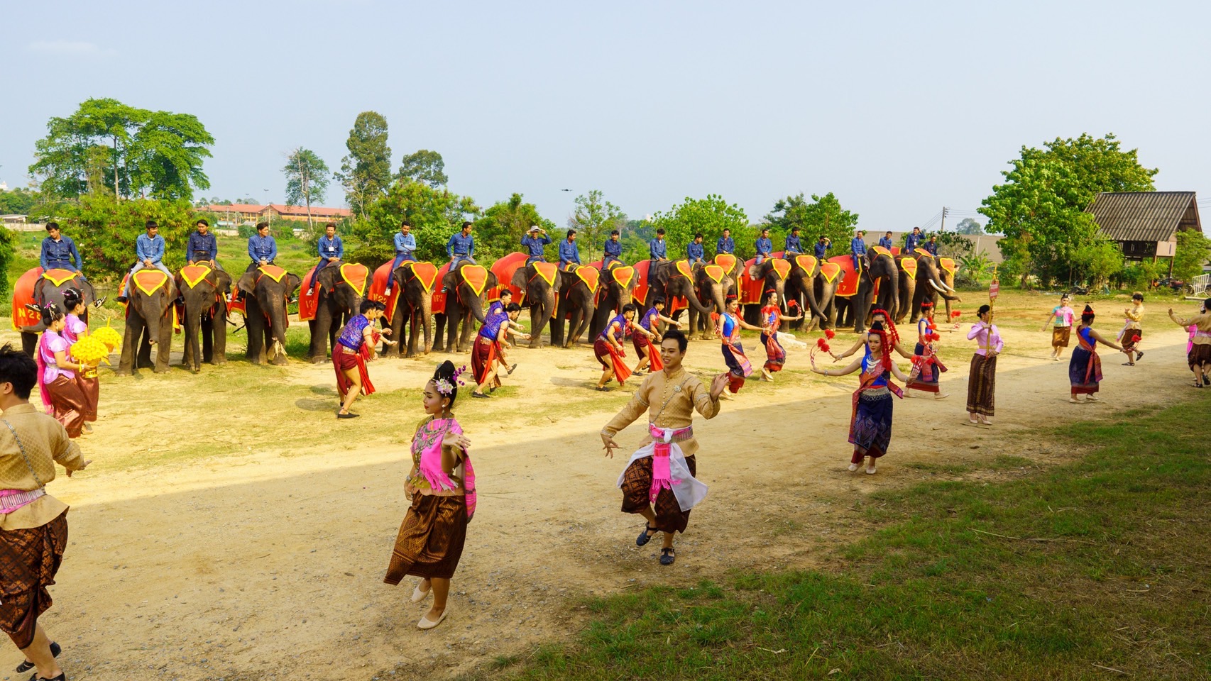 ปางช้างลูกดกสวนนงนุชพัทยา มาอีกแล้วเชือกที่ 2 ของปี มีช้างมากถึง 82เชือก ฉลองอย่างยิ่งใหญ่ 5 S 3654753