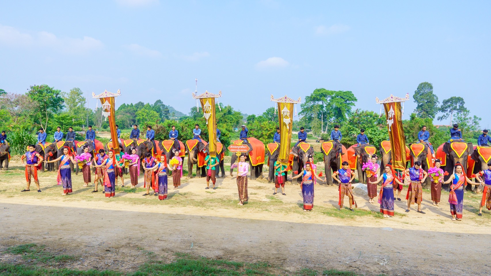 ปางช้างลูกดกสวนนงนุชพัทยา มาอีกแล้วเชือกที่ 2 ของปี มีช้างมากถึง 82เชือก ฉลองอย่างยิ่งใหญ่ 6 S 3654773