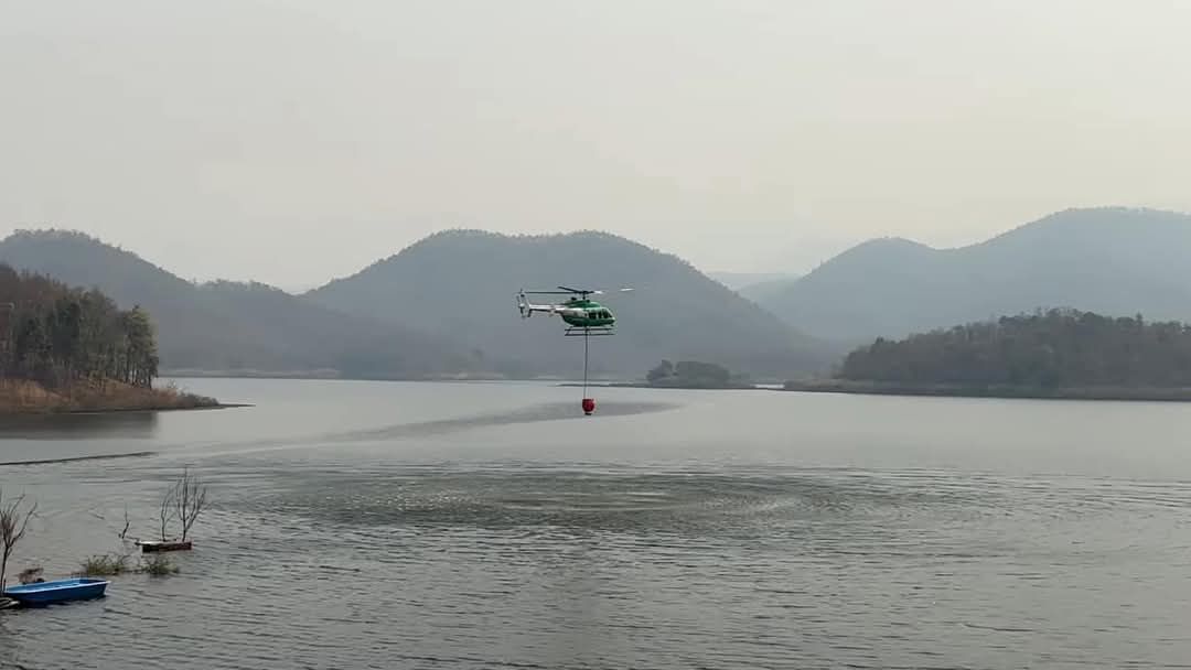 S 48767115