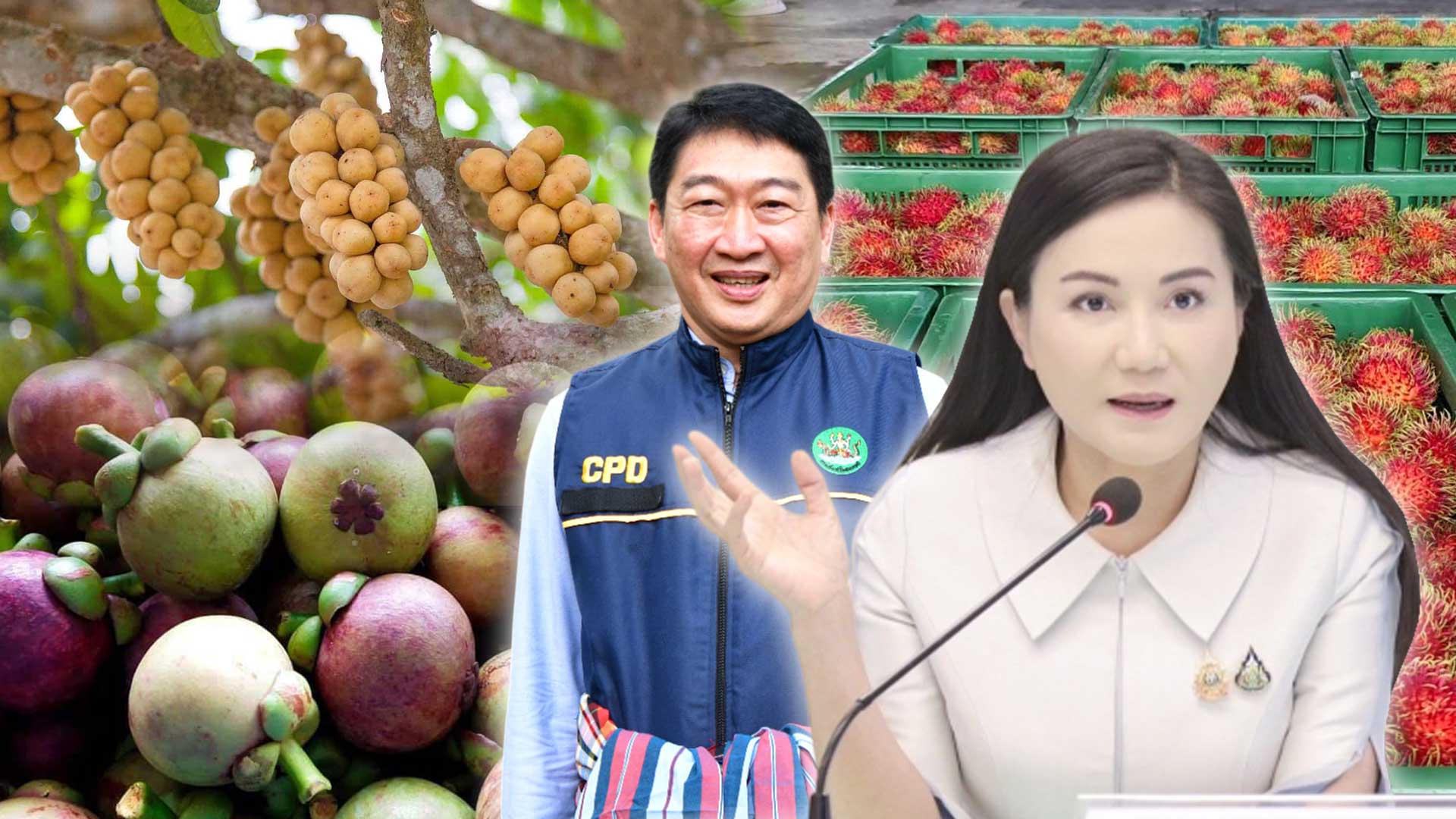 กรมส่งเสริมสหกรณ์3