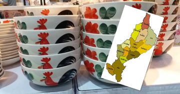 ชามไก่ลำปาง3
