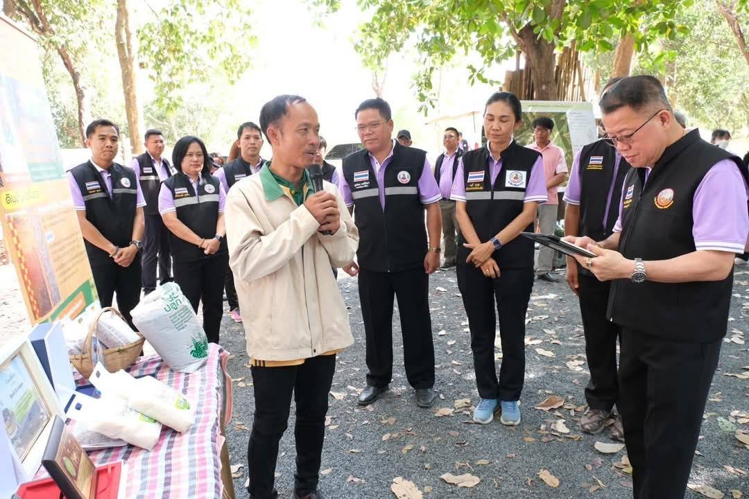 ภาพพด4