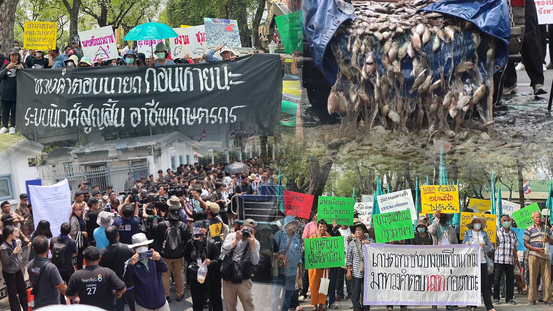 เกษตรกรกลุ่มปลาหมอคางดำ3