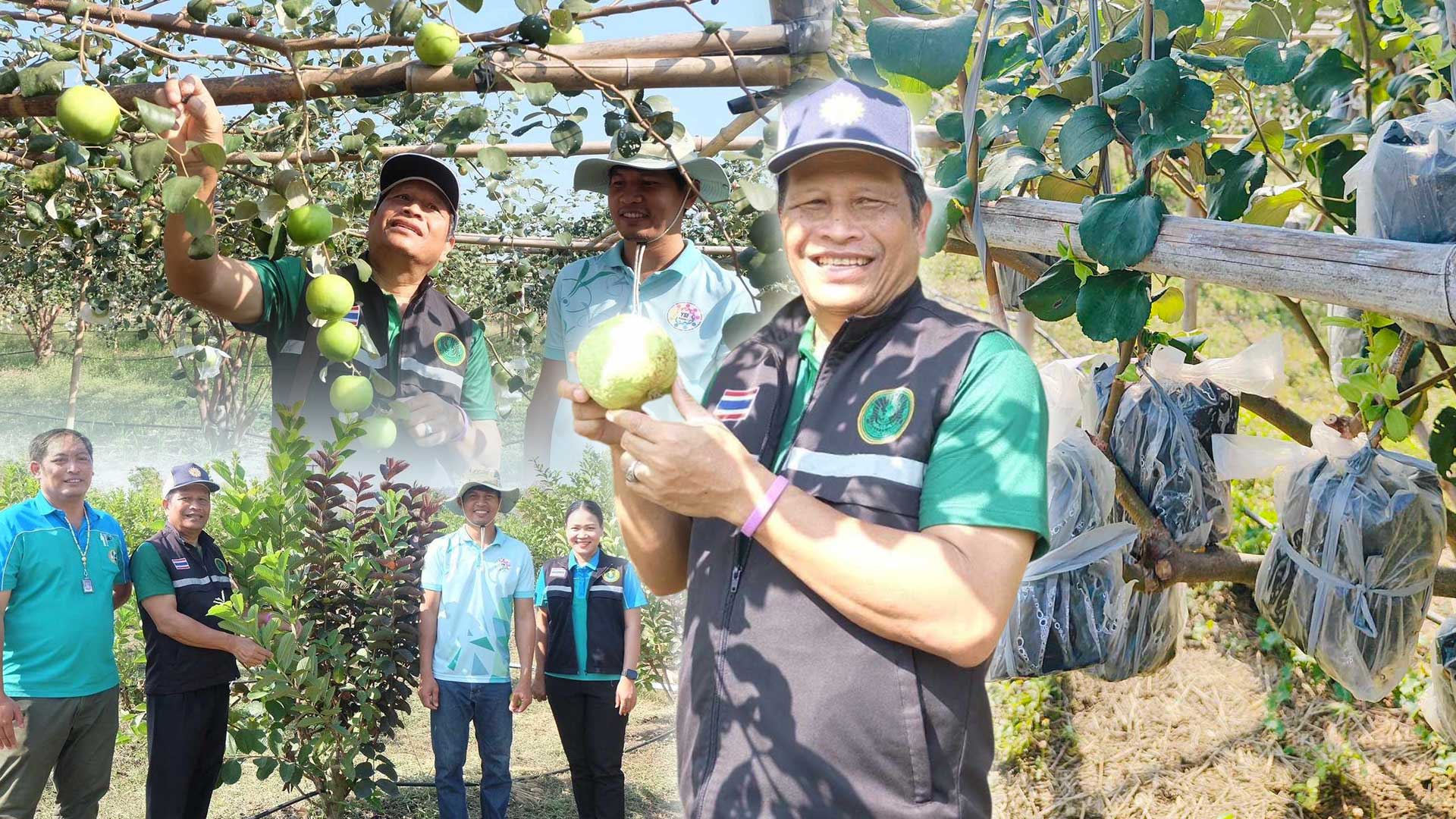 เกษตรประณีต3