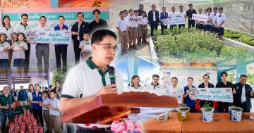 เมล็ดพันธุ์ตราศรแดง3