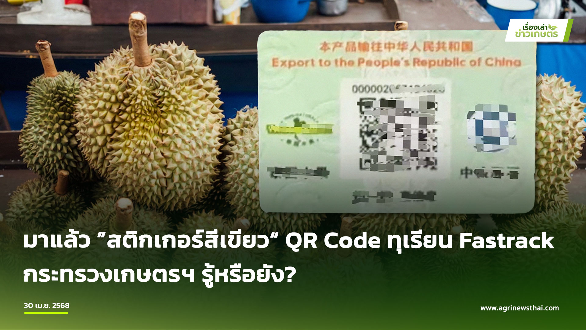Fastrack Av Code มาแล้ว สติกเกอร์สีเขียว QR Code ทุเรียน Fastrack » เรื่องเล่าข่าวเกษตร