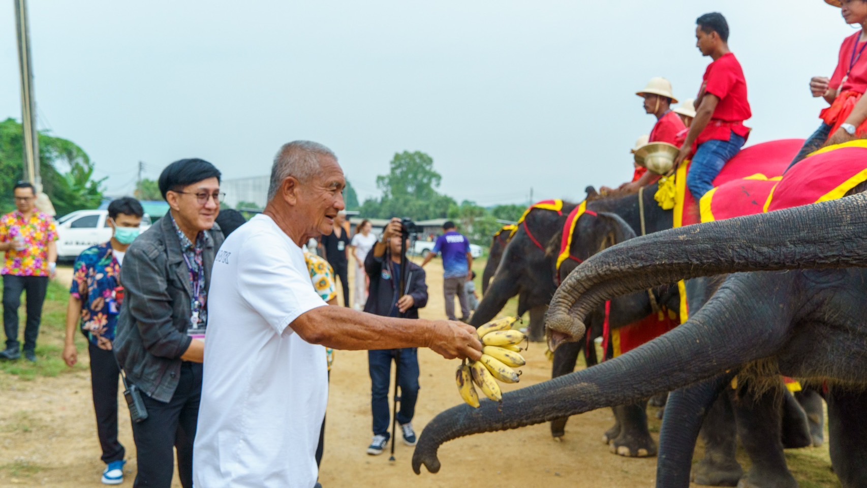 นาทีชีวิต แม่ช้างมือใหม่ของสวนนงนุชพัทยาตกลูกครั้งแรกเกือบไม่รอด เจ้าหน้าที่มีความพร้อมเลยช่วยชีวิตลูกช้างไว้ทัน-จัดขบวนรับขวัญช้าง 2 S 3761278