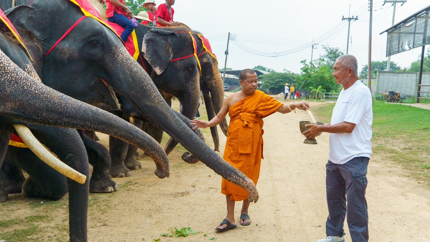 นาทีชีวิต แม่ช้างมือใหม่ของสวนนงนุชพัทยาตกลูกครั้งแรกเกือบไม่รอด เจ้าหน้าที่มีความพร้อมเลยช่วยชีวิตลูกช้างไว้ทัน-จัดขบวนรับขวัญช้าง 3 S 3761303