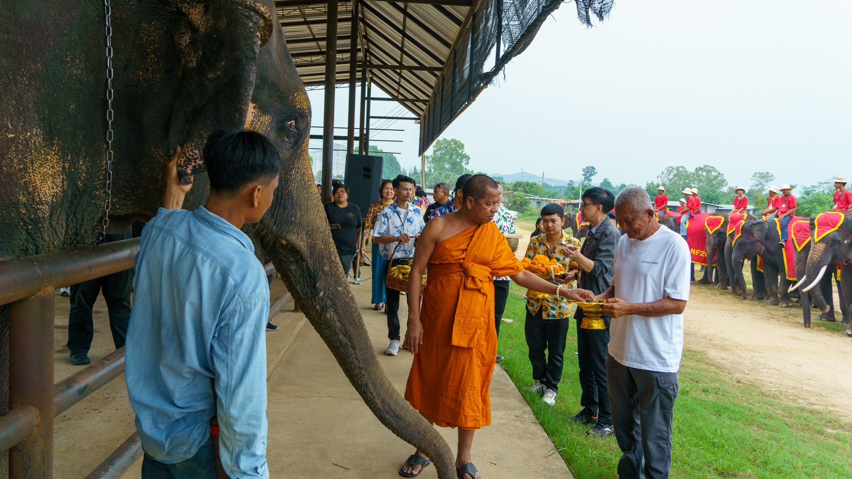 นาทีชีวิต แม่ช้างมือใหม่ของสวนนงนุชพัทยาตกลูกครั้งแรกเกือบไม่รอด เจ้าหน้าที่มีความพร้อมเลยช่วยชีวิตลูกช้างไว้ทัน-จัดขบวนรับขวัญช้าง 4 S 3761319