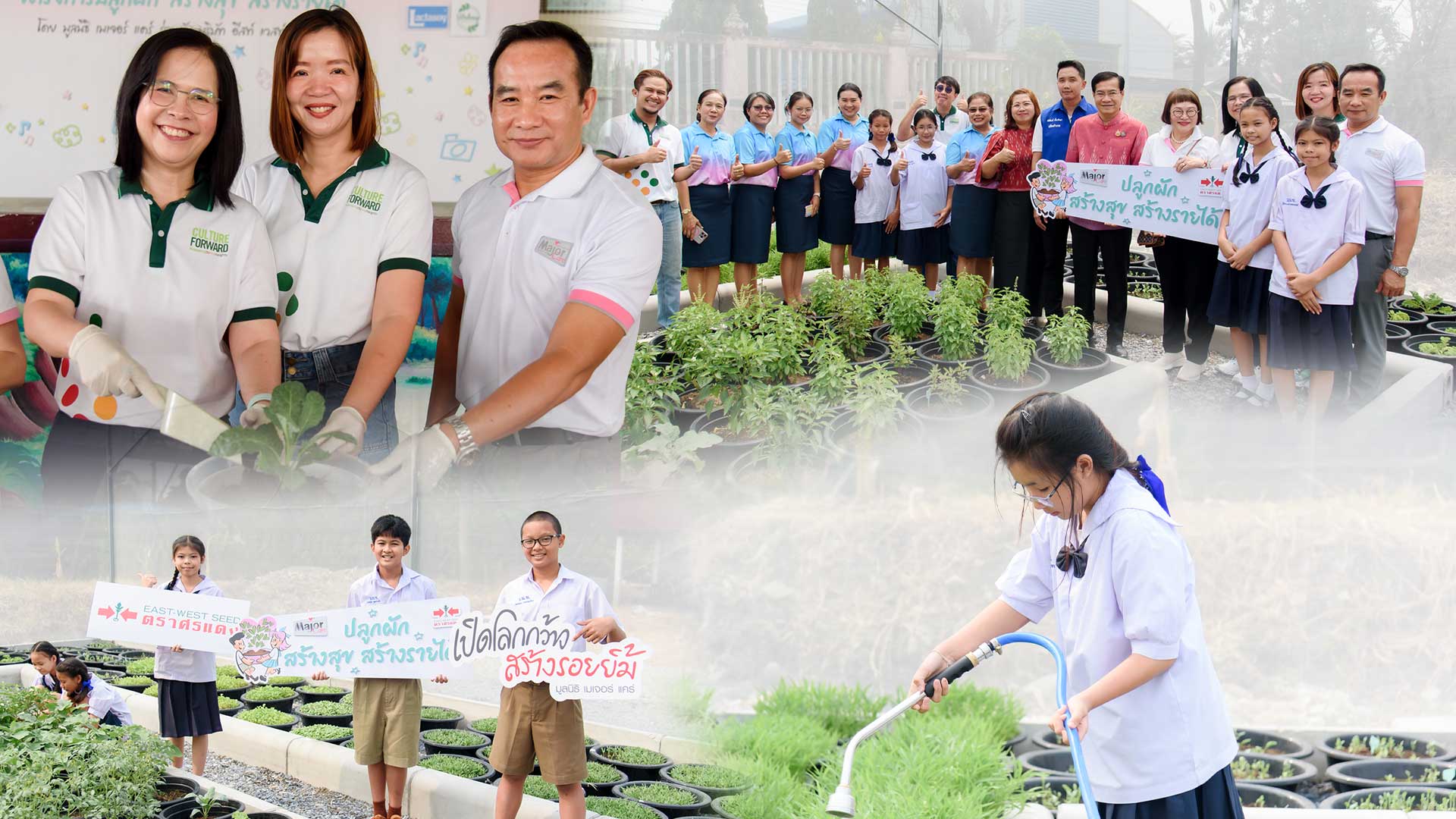 เมล็ดพันธุ์ตราศรแดง3