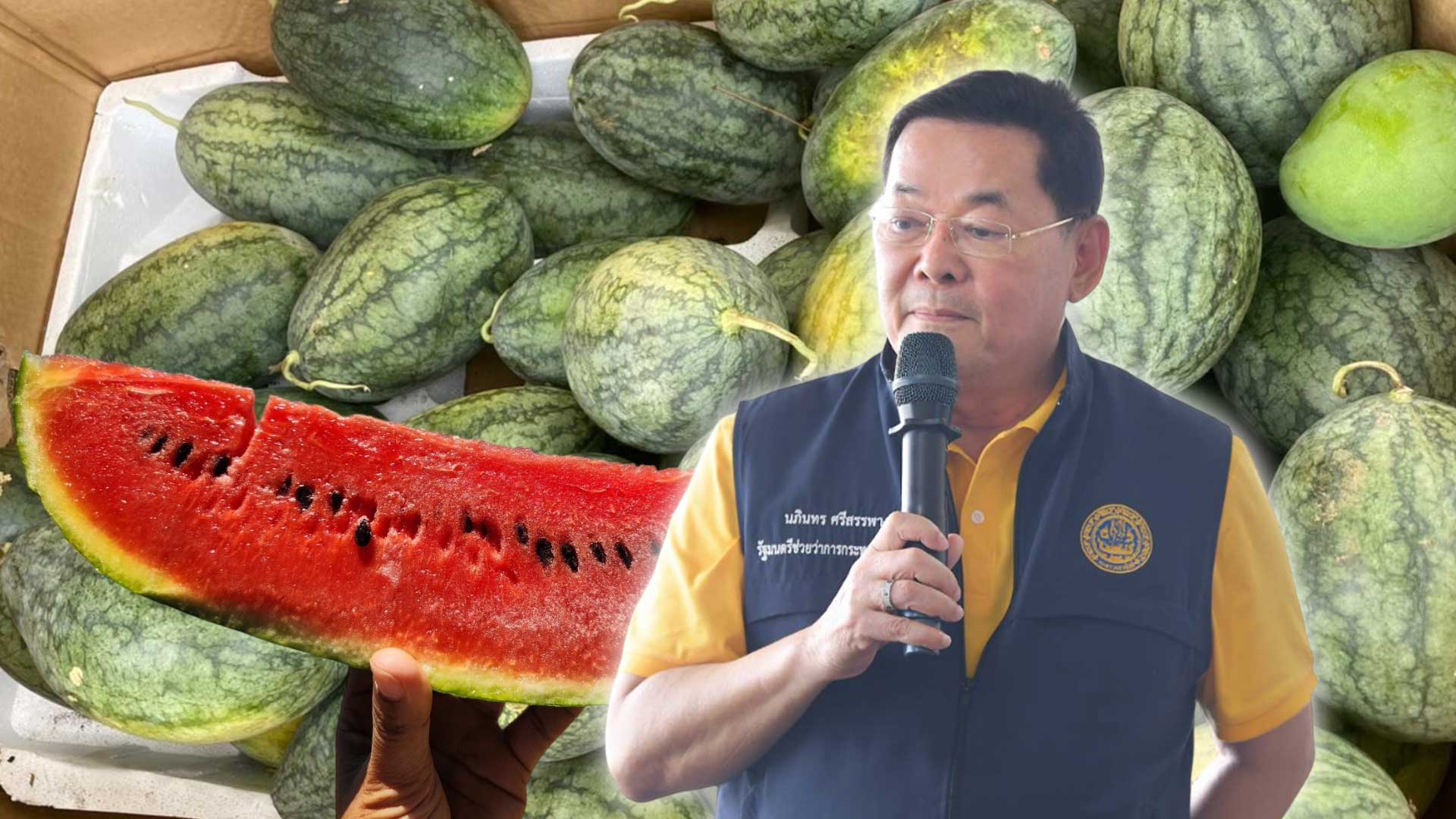 แตงโมเกาะสุกร3