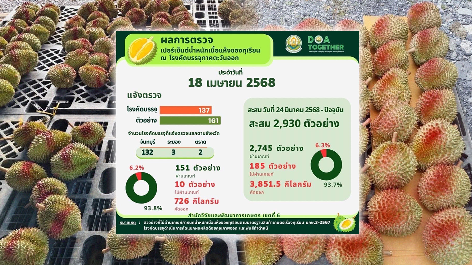 ใครบอกไม่มีทุเรียนอ่อน2