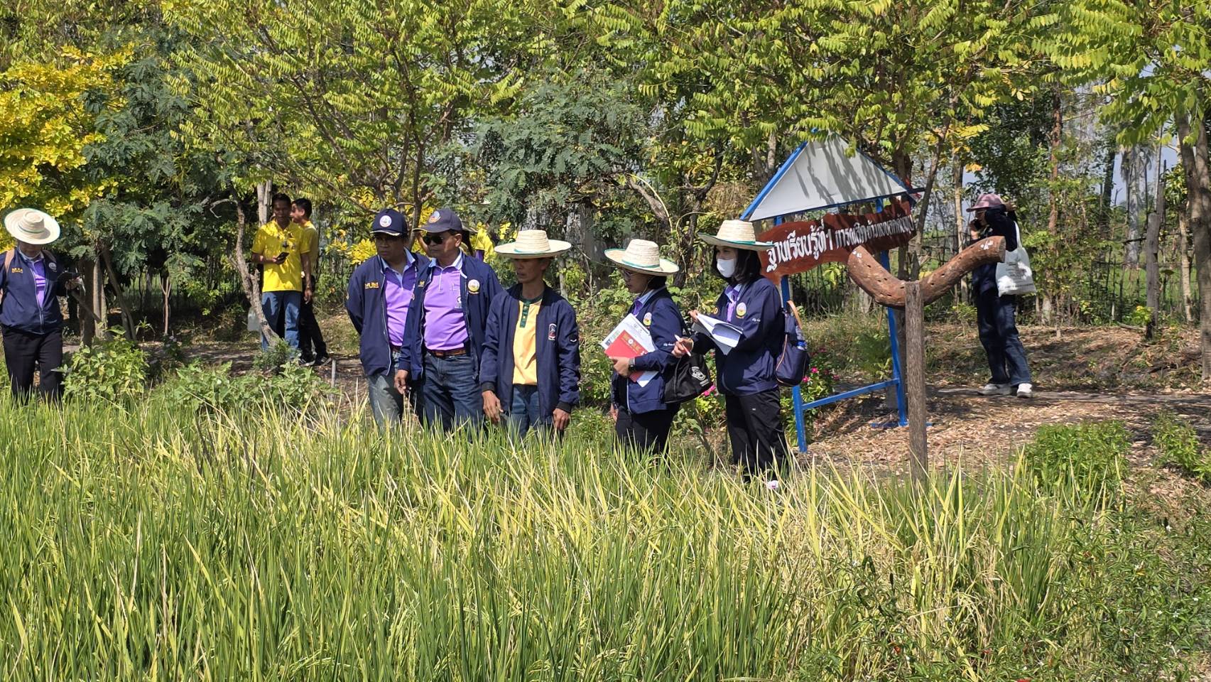 กรมพัฒนาที่ดิน เชิดชูเกษตรกรดีเด่น ปี 2568“หมอดินราตรี” ต้นแบบปลูกพืชอินทรีย์ผสมผสาน สู่วิถีเกษตรคาร์บอนต่ำ 9 108334