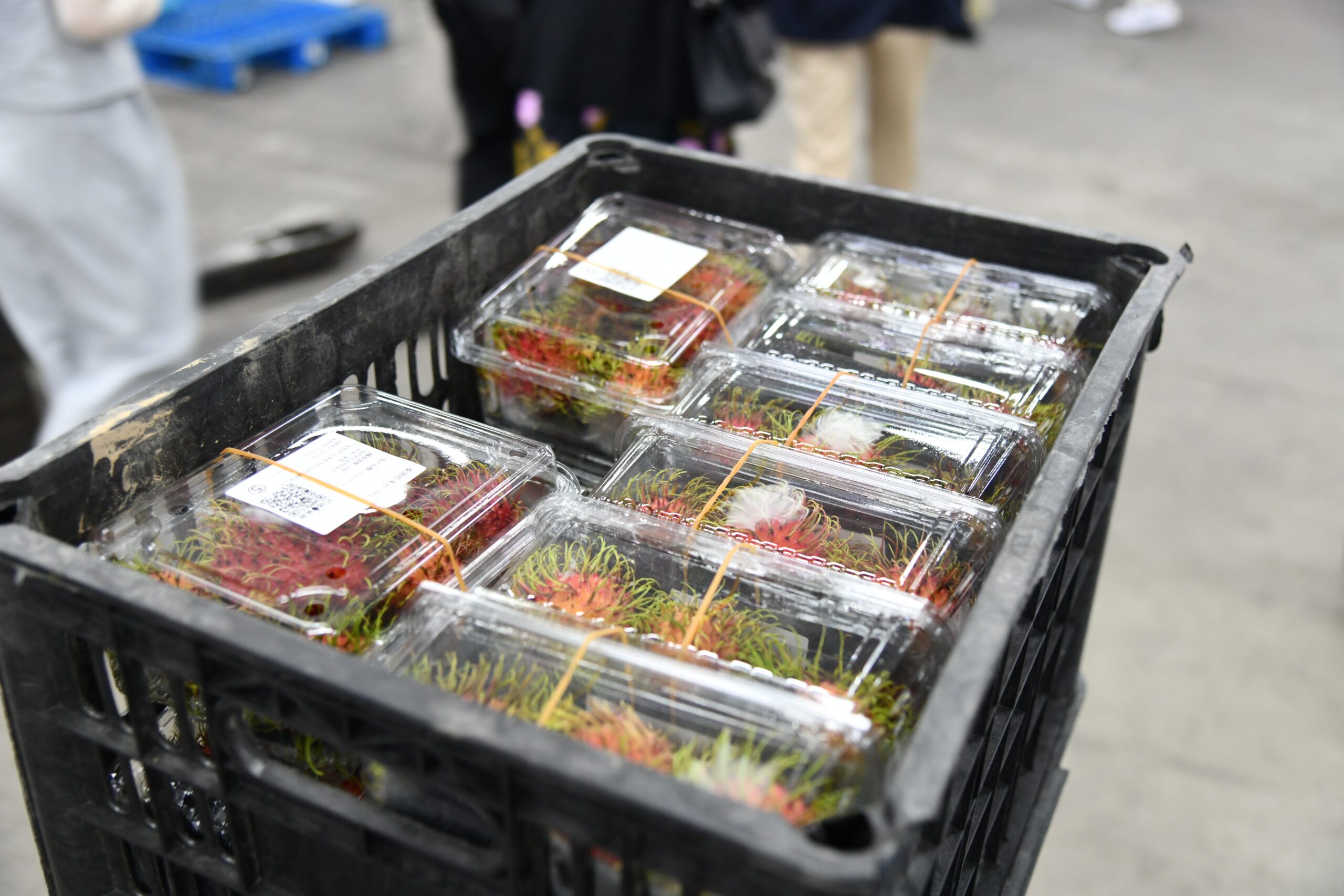 “นภินทร” บุกเซี่ยงไฮ้ รุกตลาดนำเข้าผลไม้ไทย ดันผลไม้สดผ่าน E-Commerce ไลฟ์สดขายทุเรียนหมอนทองไทยกระหึ่มแพลตฟอร์มจีน 3 20 3 scaled