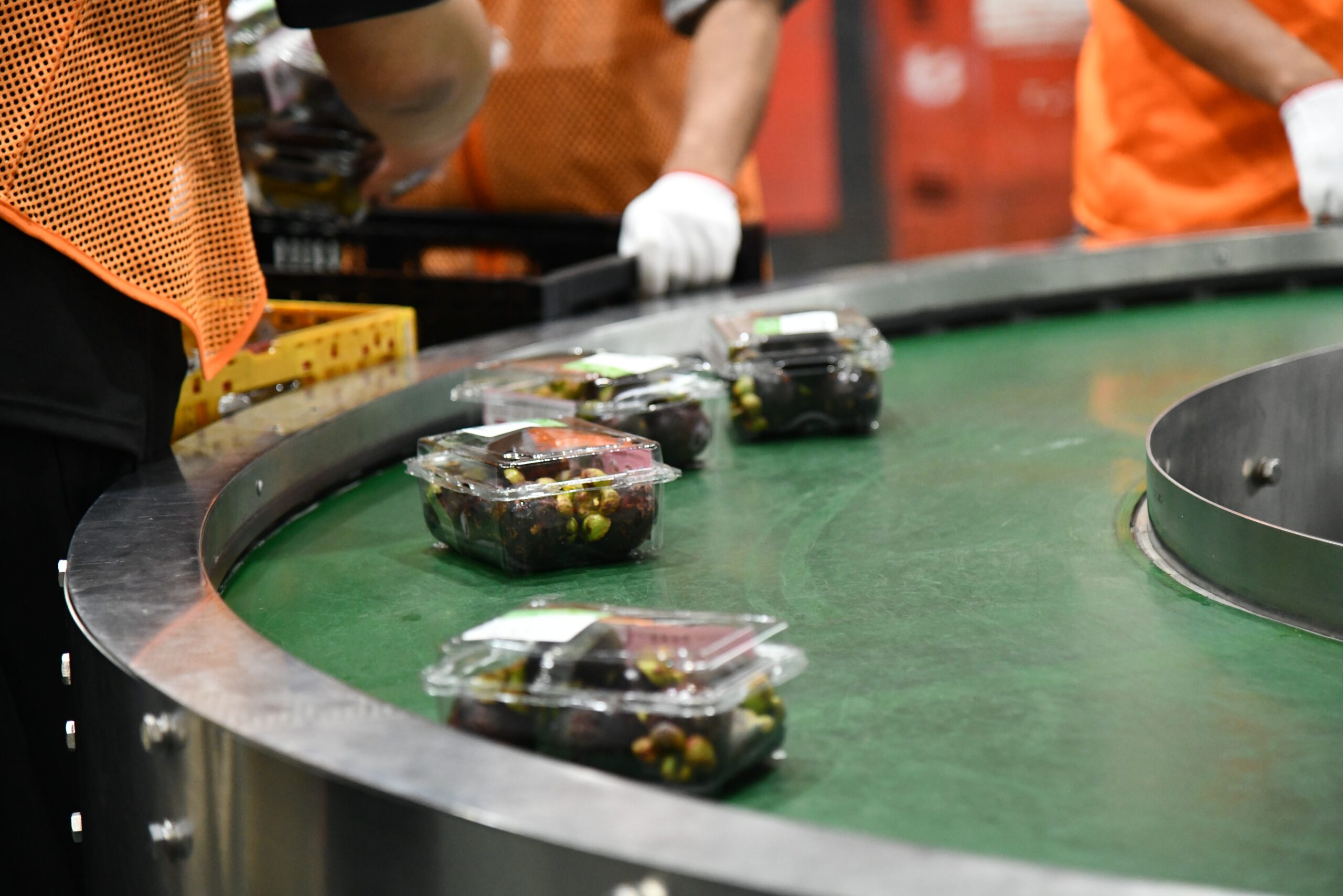 “นภินทร” บุกเซี่ยงไฮ้ รุกตลาดนำเข้าผลไม้ไทย ดันผลไม้สดผ่าน E-Commerce ไลฟ์สดขายทุเรียนหมอนทองไทยกระหึ่มแพลตฟอร์มจีน 4 202505154 scaled