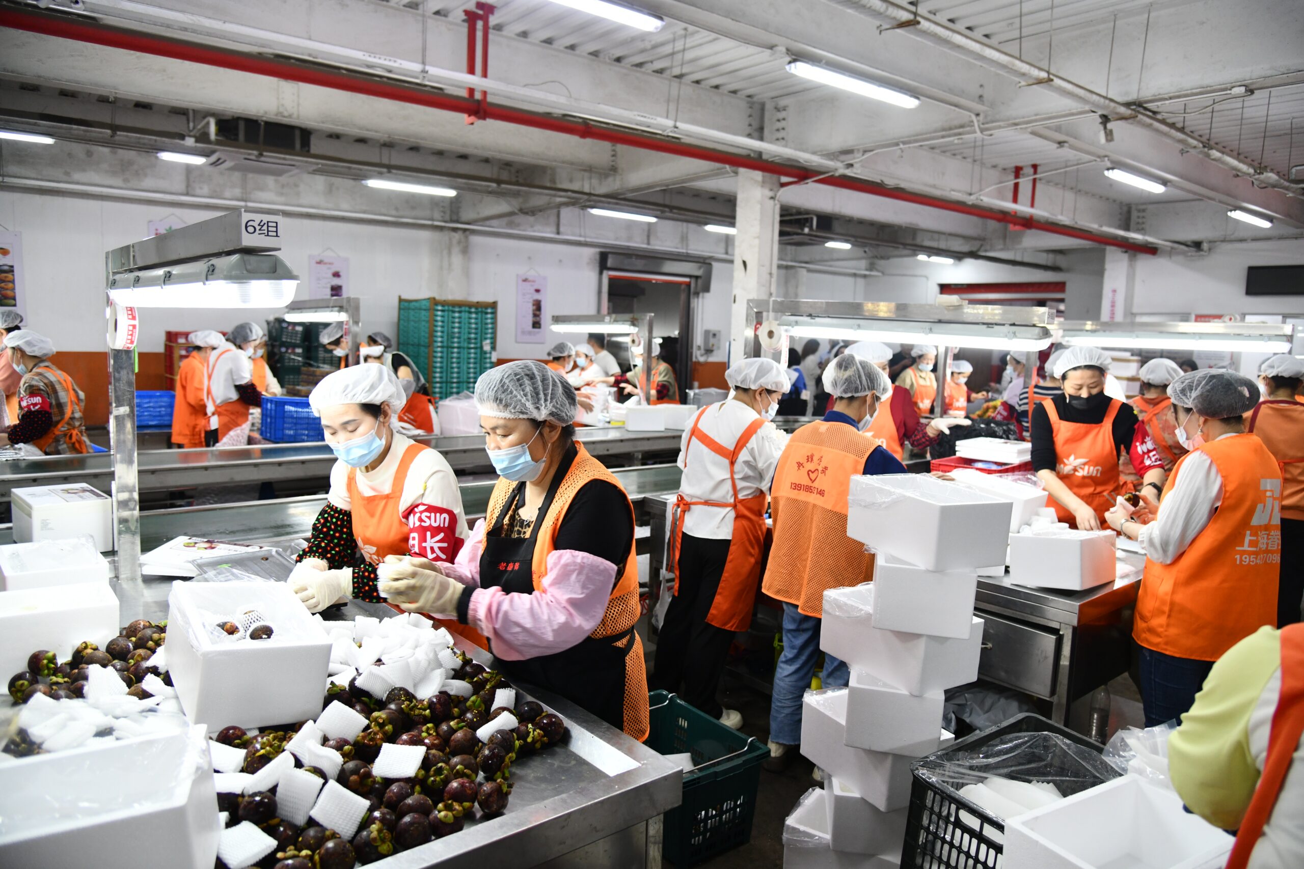 “นภินทร” บุกเซี่ยงไฮ้ รุกตลาดนำเข้าผลไม้ไทย ดันผลไม้สดผ่าน E-Commerce ไลฟ์สดขายทุเรียนหมอนทองไทยกระหึ่มแพลตฟอร์มจีน 2 20250515449001ec5d32bb70e6a68a7692dd5ccb141815 scaled