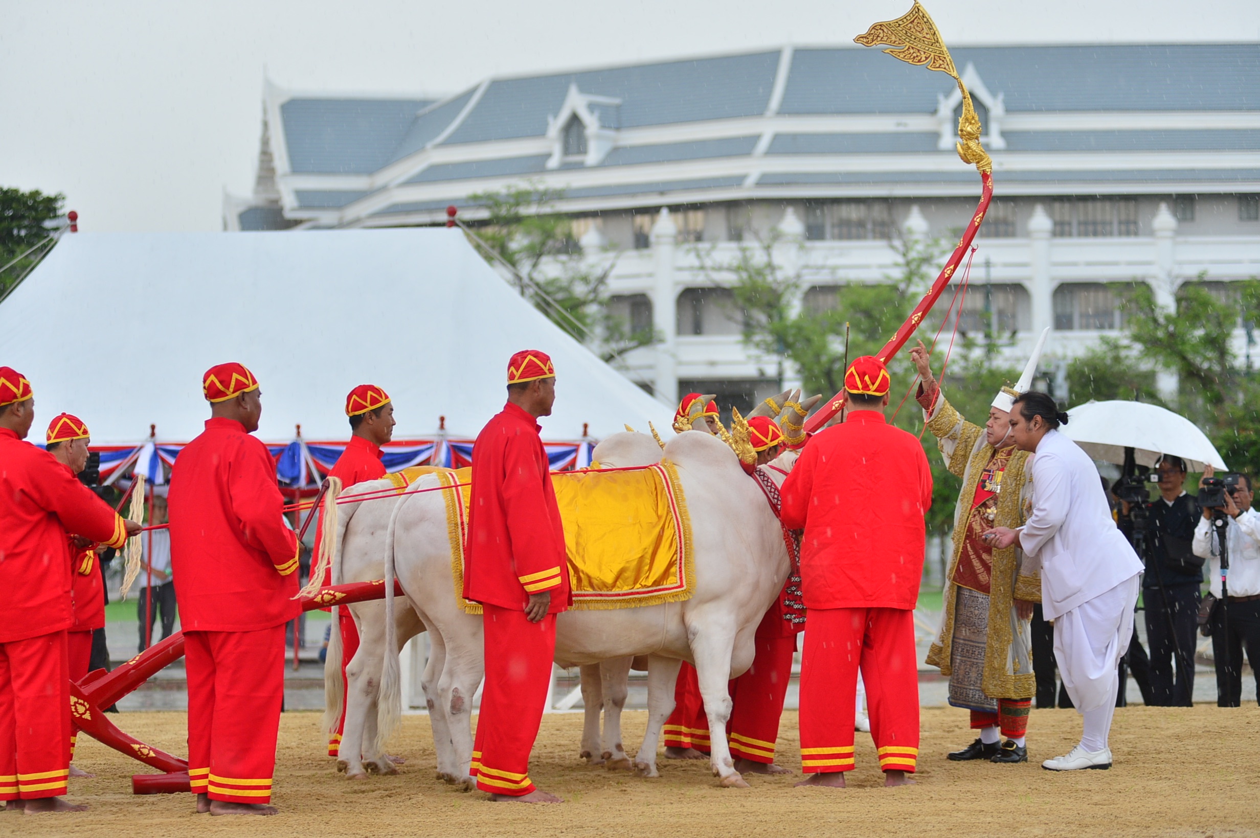 กระทรวงเกษตรและสหกรณ์ จัดซ้อมใหญ่ “พระราชพิธีพืชมงคลฯ” ประจำปี 2568 ณ มณฑลพิธีท้องสนามหลวง 13 27